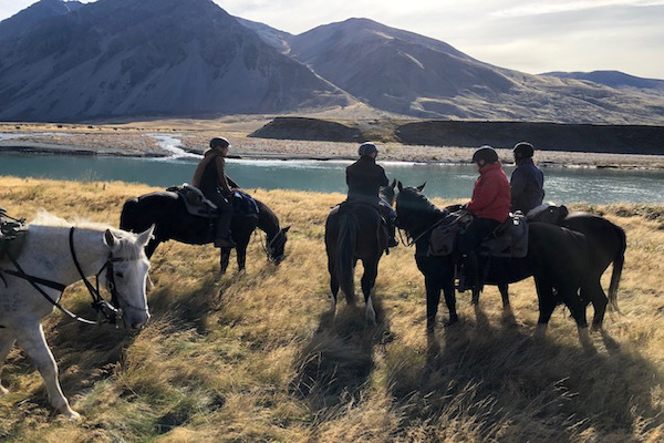 Our First Hand Experience: Horse Riding in New Zealand’s South Island